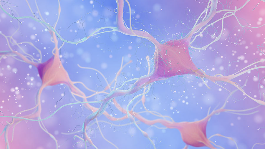 Images of neuron cells connecting